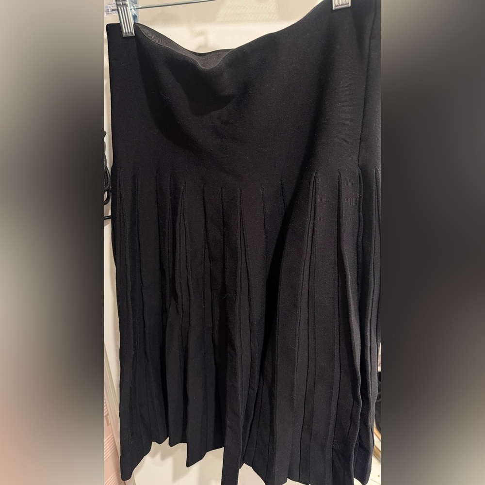 Aleeza Paris black paneled skirt